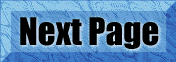 Next Page